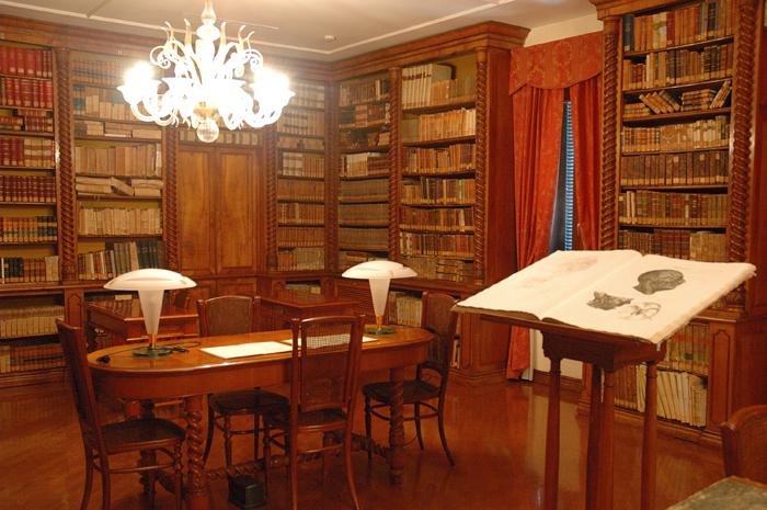 Isola di San Servolo - biblioteca (foto di Mario Fletzer)
